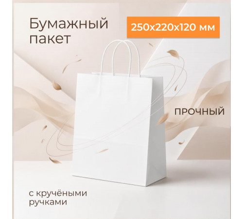 Пакет бумажный с круч. ручками 250*220*120 белый