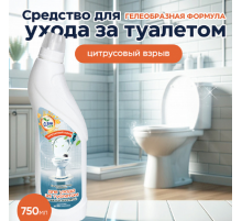 Чистящее средство для туалета Clean top 750мл гель в ассортименте ЧХЗ