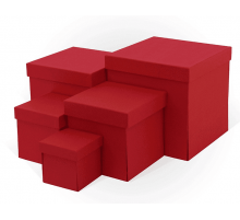 Коробка подарочная 15*15*15 тиснение РОГОЖКА КУБ красный моно